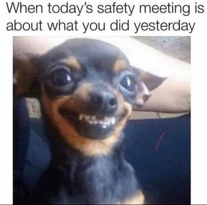 Meet your Posher, Rene